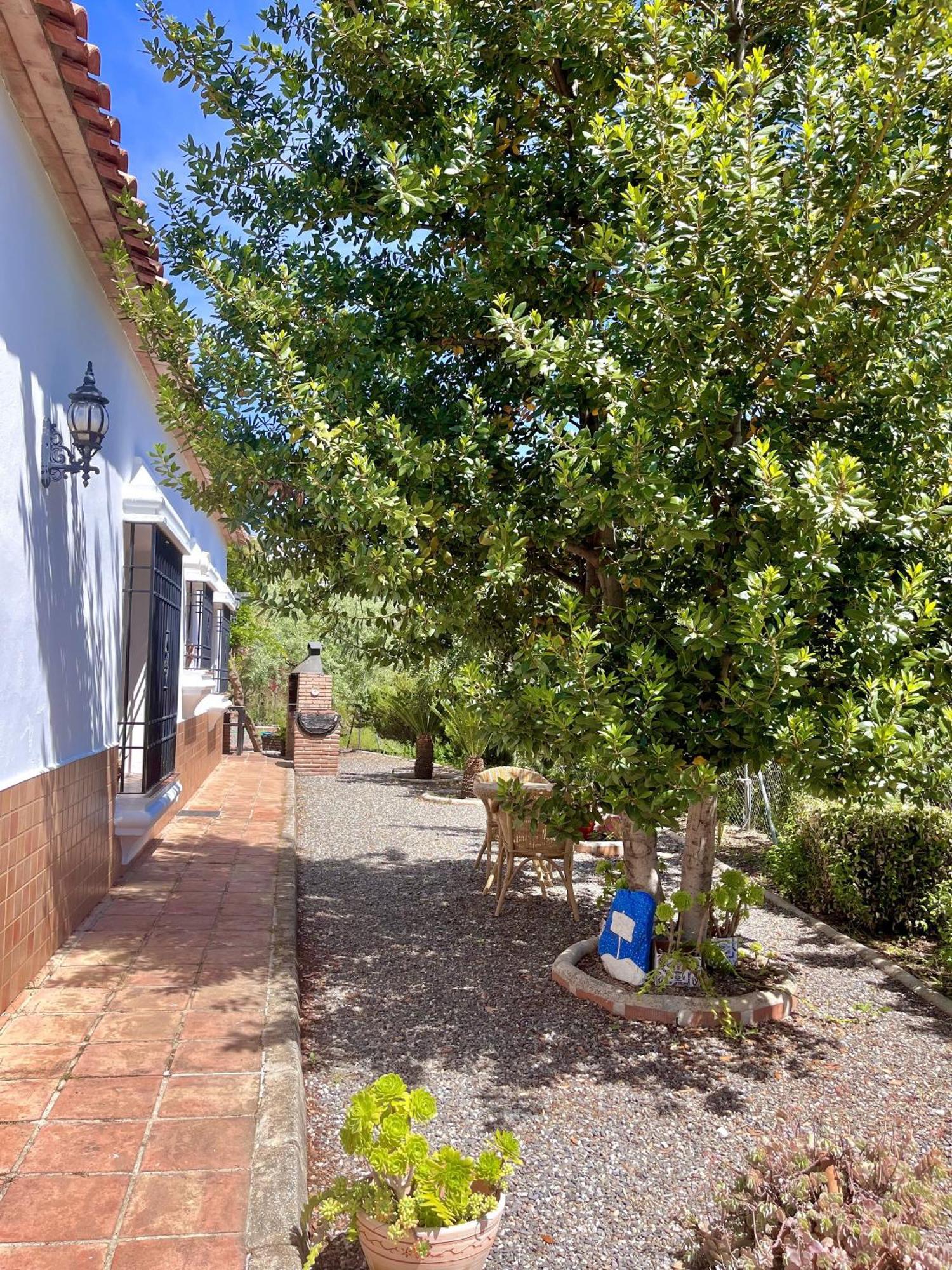 Finca Rural Mazuqueto Jubrique Exterior foto